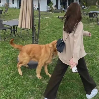 无命钱
